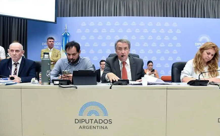 La oposición consiguió dictamen de mayoría para limitar los DNU de Milei | El Presidente ya adelantó que también vetará la ley si el Congreso la aprueba