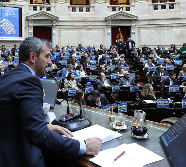 El gobierno juega fuerte para que Martín Menem…