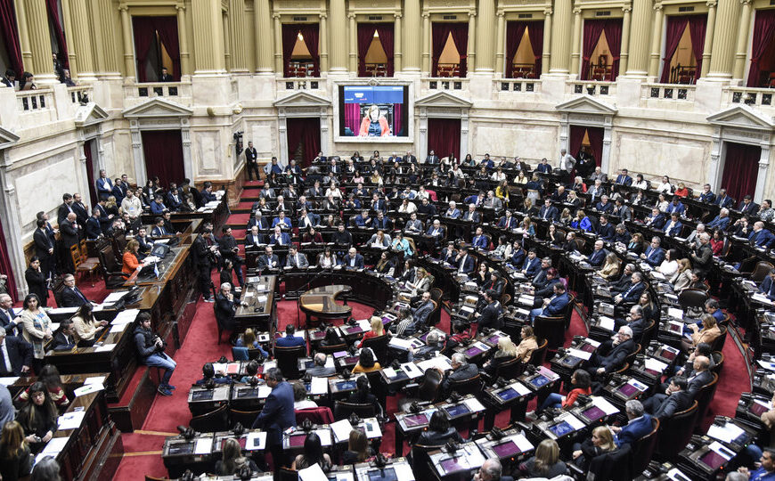 Los radicales díscolos amenazan con boicotear las extraordinarias si Milei no incluye el Presupuesto 2025 | “No nos prestaremos al show”, sostienen los diputados de Democracia para Siempre