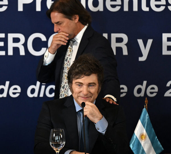 Sin socios, el topo Milei busca la destrucción…