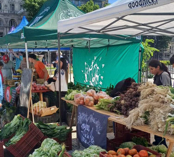 Feriazo: “No hay políticas para la agricultura familiar” …