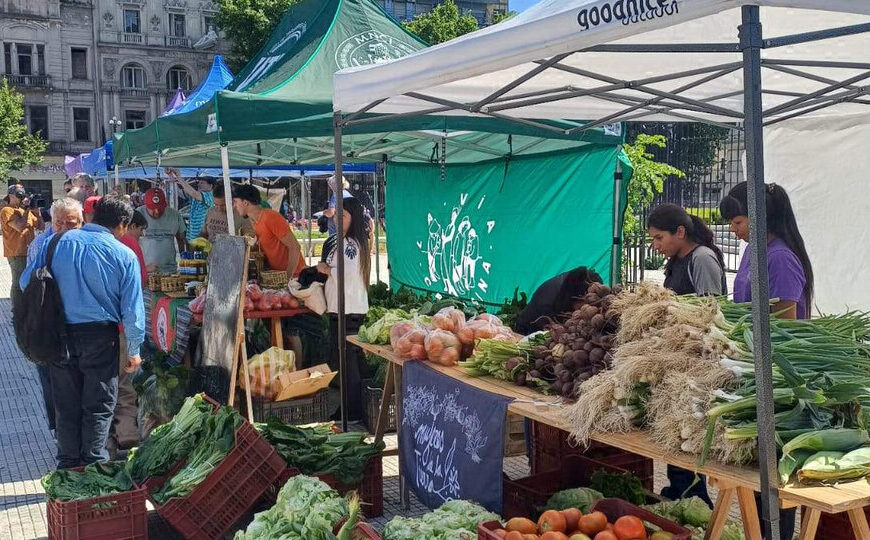 Feriazo: “No hay políticas para la agricultura familiar” …