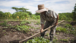 Por la crisis, pequeños agricultores piden una reunión…