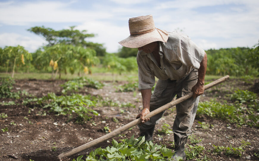 Por la crisis, pequeños agricultores piden una reunión con gobernadores