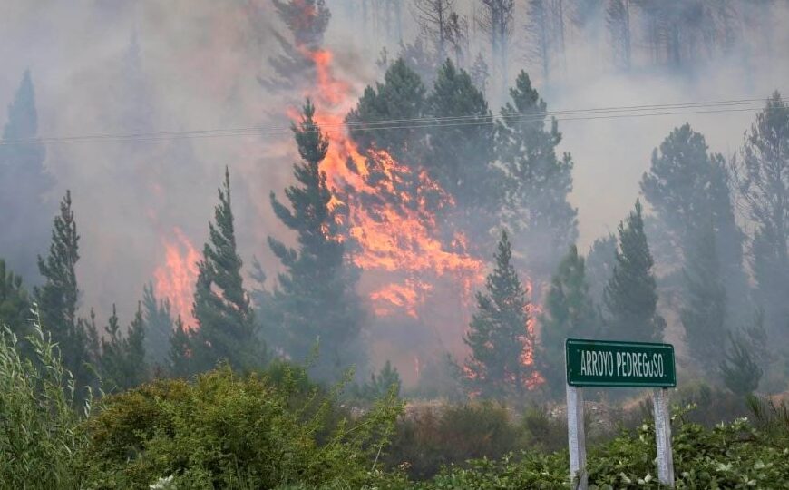 Ignacio Torres “resucitó” a la RAM y la responsabilizó por los incendios en Epuyén | “Los mismos delincuentes de siempre”