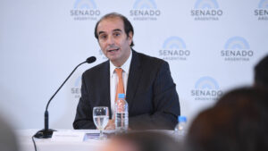 García Mansilla descargó su bronca contra el Senado…