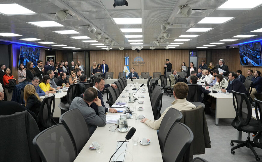 Un nuevo intento para que la comisión investigue | Diputados opositores buscan desbloquear la investigación del caso $LIBRA