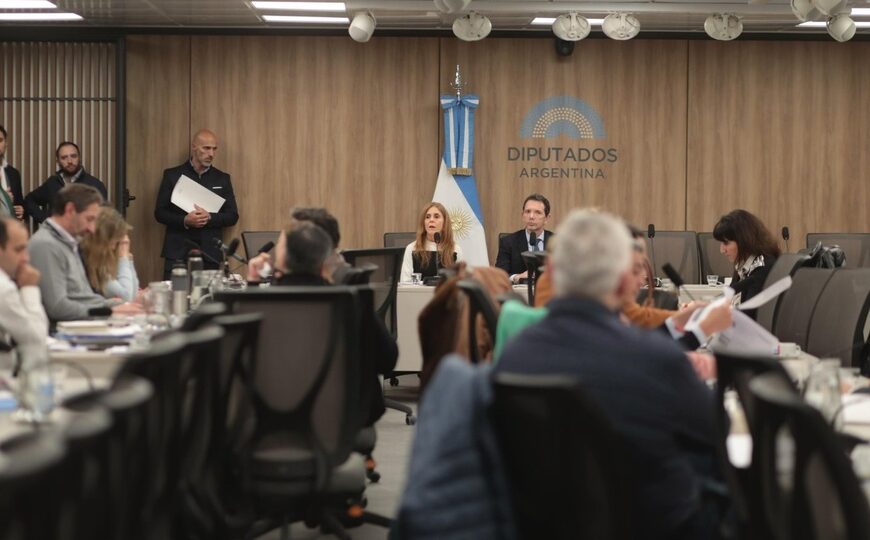La disputa por la comisión $Libra | Los expositores en Diputados vincularon a Milei con el Criptogate 