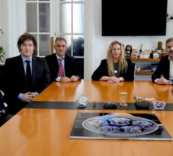 Identidad violeta y antiperonismo: la apuesta del Gobierno…