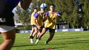 “El mundo de Los Pumas es muy profesional”…